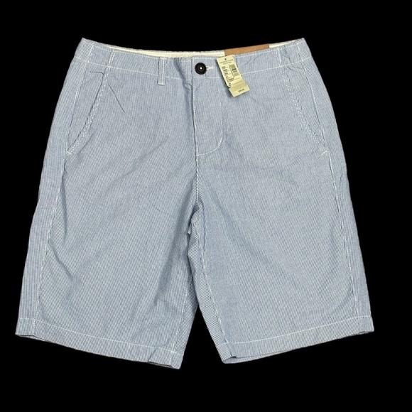 Men's American Eagle AEO 30 Small Shorts Pin Stripes Blue White Chino Khakis NWT - Picture 2 of 9